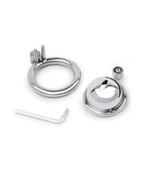 Lockmaster Stainless Steel Inverted Micro Chastity Cage components including a sleek ring and secure locking mechanism.