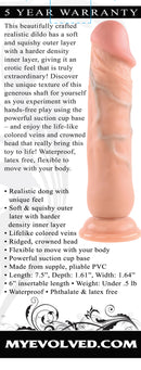 Evolved Novelties Realistic Dong 7 Inch Beige Suction Cup with lifelike details and flexible suction base.