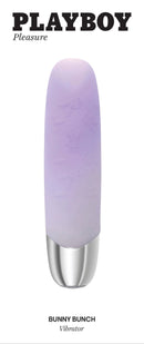 Playboy Bunny Bunch Purple Vibrator from Evolved Novelties in stylish packaging for luxurious pleasure