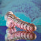 EVOLVED FANTASY-4