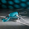 Evolved Oval Office remote control vibrating egg with charging cable on a concrete surface