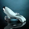 EVOLVED COUPLES THERAPY-2