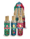 Holiday Water-Based Lubricant Display with Candy Cane, Sugar Cookie, and Fruit Cake flavors in 18 festive 2oz bottles.