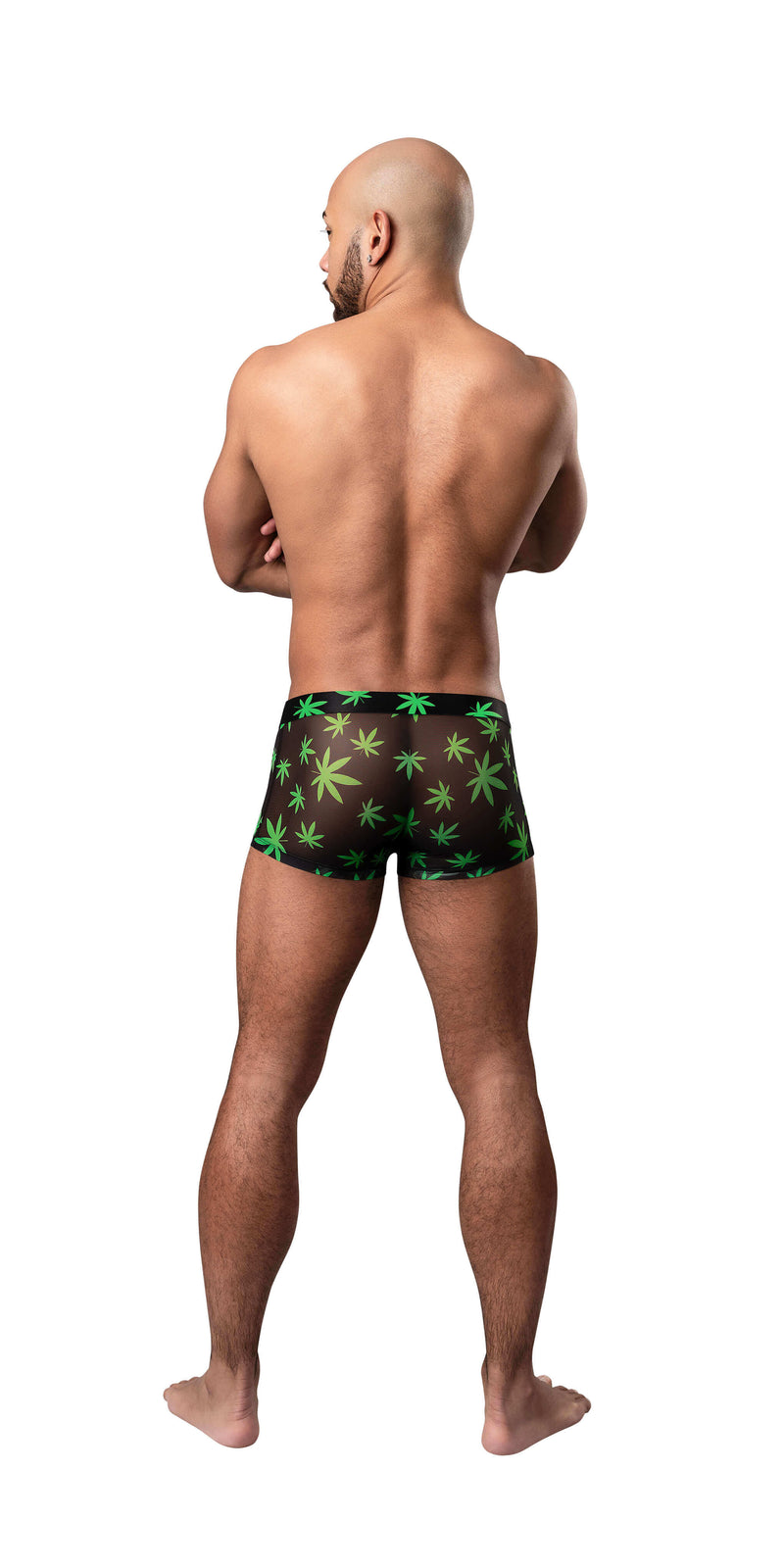 Man wearing HAZY DAYZ Pouch Short Pot Leaf with sheer mesh fabric and bright pot leaf print, showing back view.