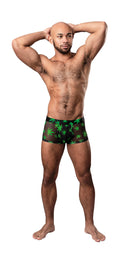 HAZY DAYZ Pouch Short Pot Leaf sheer mesh underwear with bright pot leaf print and high-cut legs modeled by a man standing confidently
