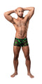 HAZY DAYZ Pouch Short Pot Leaf sheer mesh underwear with bright pot leaf print and high-cut legs modeled by a man standing confidently