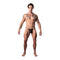 SHOW STOPPER POSING STRAP BLACK O/S-2