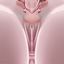 Discreet Wearable Panty Massager with Detachable Egg Vibrator showcasing its innovative design and functionality.