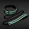 GLO BONDAGE COLLAR & LEASH GREEN-2