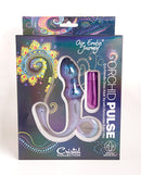 Cristal Orchid Pulse Glass Dildo with Bullet Vibe Purple in eco-friendly packaging.