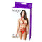 Expose Bikini and Panty Set Lingerie in Red, featuring a model showcasing the seductive design on packaging.