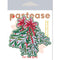Christmas-themed mistletoe nipple pasties with red glitter bow by Pastease in packaging.