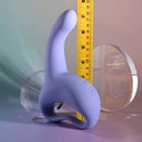 PLAYBOY NICE TO MEET YOU-2