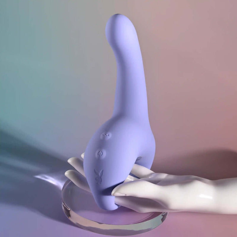 PLAYBOY NICE TO MEET YOU-6