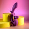 PLAYBOY CHA CHA SLIDE-1