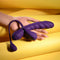 PLAYBOY TWISTED PLAYGROUND-7