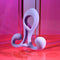 PLAYBOY FANTASY CAGE-2