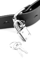 FETISH FANTASY DELUXE BALL GAG W/DILDO-3