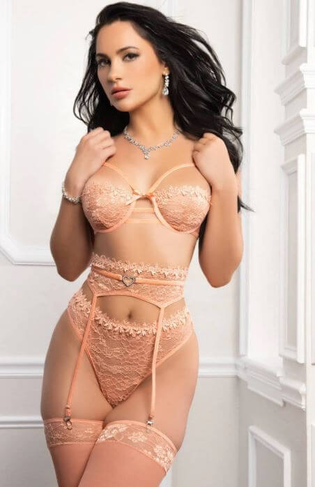4PC Peach Fuzz High-Waisted Bra & Garter Belt Lingerie Set with floral embroidery and heart detailing, exuding femininity and style.