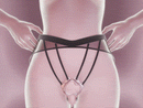 Discreet Wearable Panty Massager with Detachable Egg Vibrator showcasing a hands-free pleasure system.