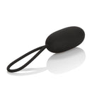 Silicone Remote Controlled Rechargeable Vibrating Egg by California Exotic Novelties with sleek design and remote control feature.