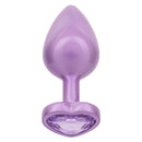 JEWEL LARGE AMETHYST HEART PLUG-0