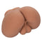Realistic male masturbator designed for intense pleasure, featuring lifelike details and soft Pure Skin® material.