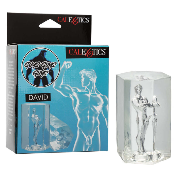 Guys Guys Guys David soft stretchy masturbator transparent design in packaging.