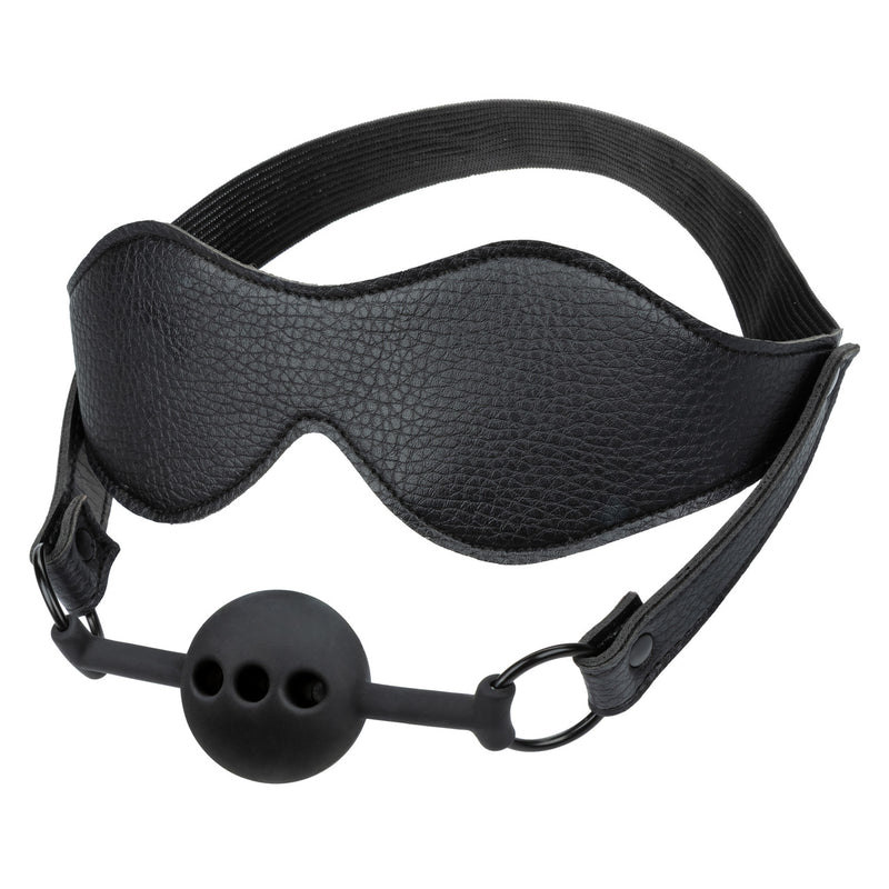 Nocturnal Collection Eye Mask and Breathable Ball Gag for sensory play and bondage restraint.