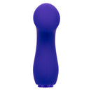 Raven G Pleaser Massager in a sleek purple design, ideal for targeted stimulation and discreet pleasure.