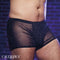 RADIANCE BOXER BRIEFS-2