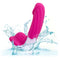 G-RIDE EASY RIDE-4