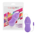 Whisper Micro Heated Purple Vibrator packaging and product with controller for discreet stimulation and warmth.