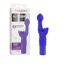 Silicone Butterfly Kiss Purple Vibrator with dual motors and elegant design for intense pleasure.
