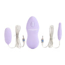 Twin Pleasure Pak Bullet Vibrators Purple with remote and two bullet stimulators for versatile pleasure.