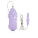 Twin Pleasure Pak Bullet Vibrators Purple with remote control and attached bullet for versatile stimulation.