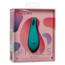 PIXIES BUNNY-2