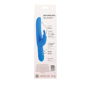 Posh 10 Function Silicone Bounding Bunny Blue Vibrator package with details on features and specifications.