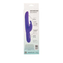 Posh 10 Function Silicone Bounding Bunny Purple Vibrator packaging showcasing its features and design.