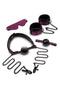 Dragon's Lair 5-Piece Bondage Set with eye mask, wrist/ankle cuffs, ball gag, and chains by Whipsmart