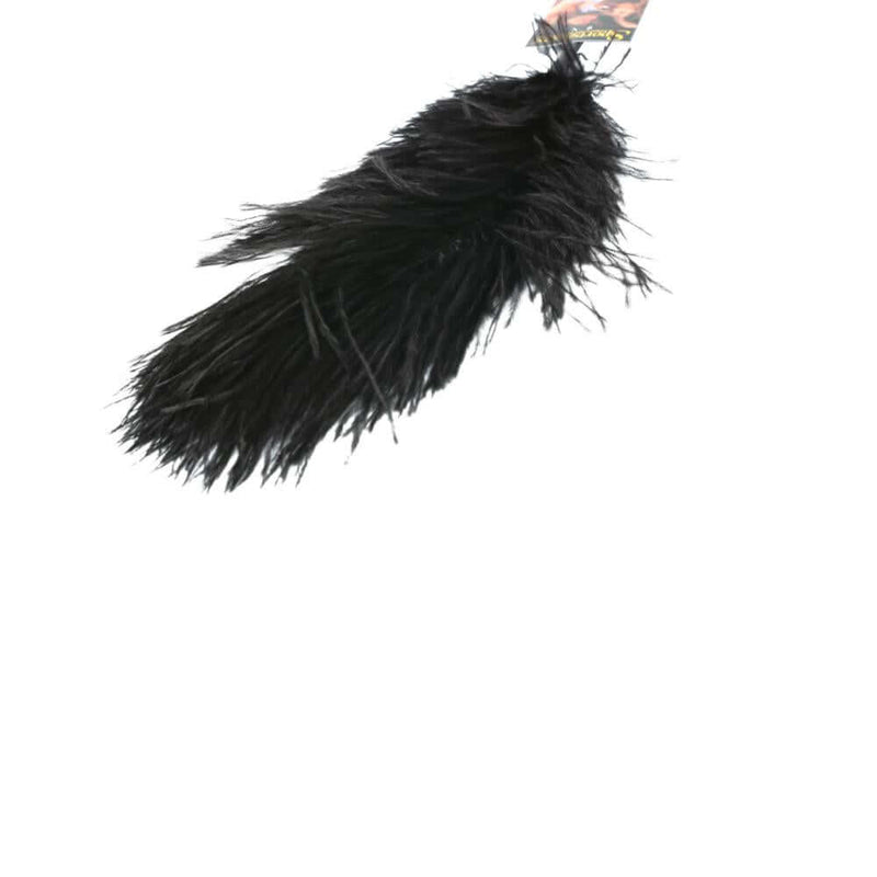 OSTRICH FEATHER BLACK-1