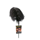 OSTRICH FEATHER BLACK-2