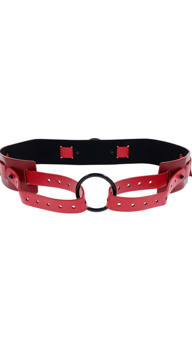 EX'S & OH'S BOUND & BELTED-2