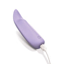 Adam & Eve Secret Curve Panty Bullet Vibe in purple, sleek design with a tapered tip for discreet pleasure.