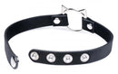 Master Series Kinky Kitty Ring Slim Choker Black featuring cat ears and metallic snaps.