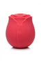 BLOOMGASM THE ROSE LOVERS GIFT BOX RED-3