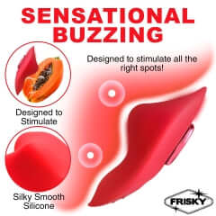 FRISKY LOVE CONNECTION PANTY VIBE W/ REMOTE-1