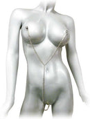 Master Series Anais Nipple to Clit Tweezer Clamp Set displayed on a mannequin with chains connecting various sensitive areas.