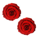 Freaking Awesome Roses Are Red Nipztix Pasties red rose designs on glitter velvet fabric.