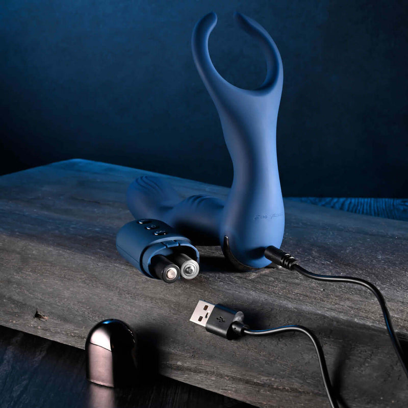 Zero Tolerance By All Means remote control prostate vibrator with USB charging cable on a wooden surface